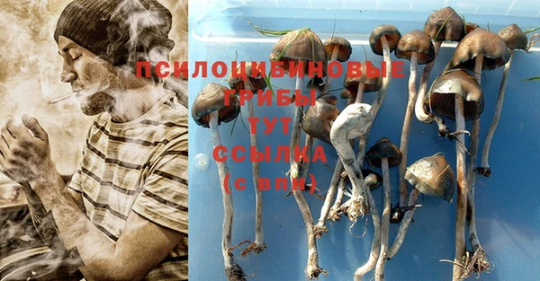 эйфоретик Алзамай
