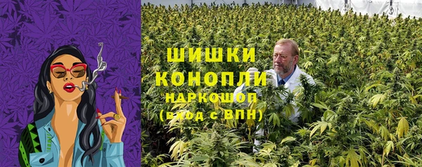 сатива Абаза
